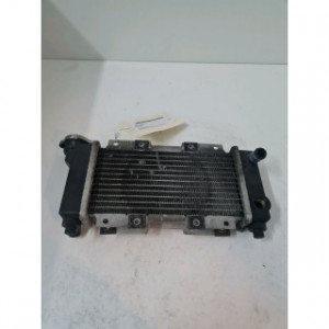 Radiateur d'eau  pour PEUGEOT LXR